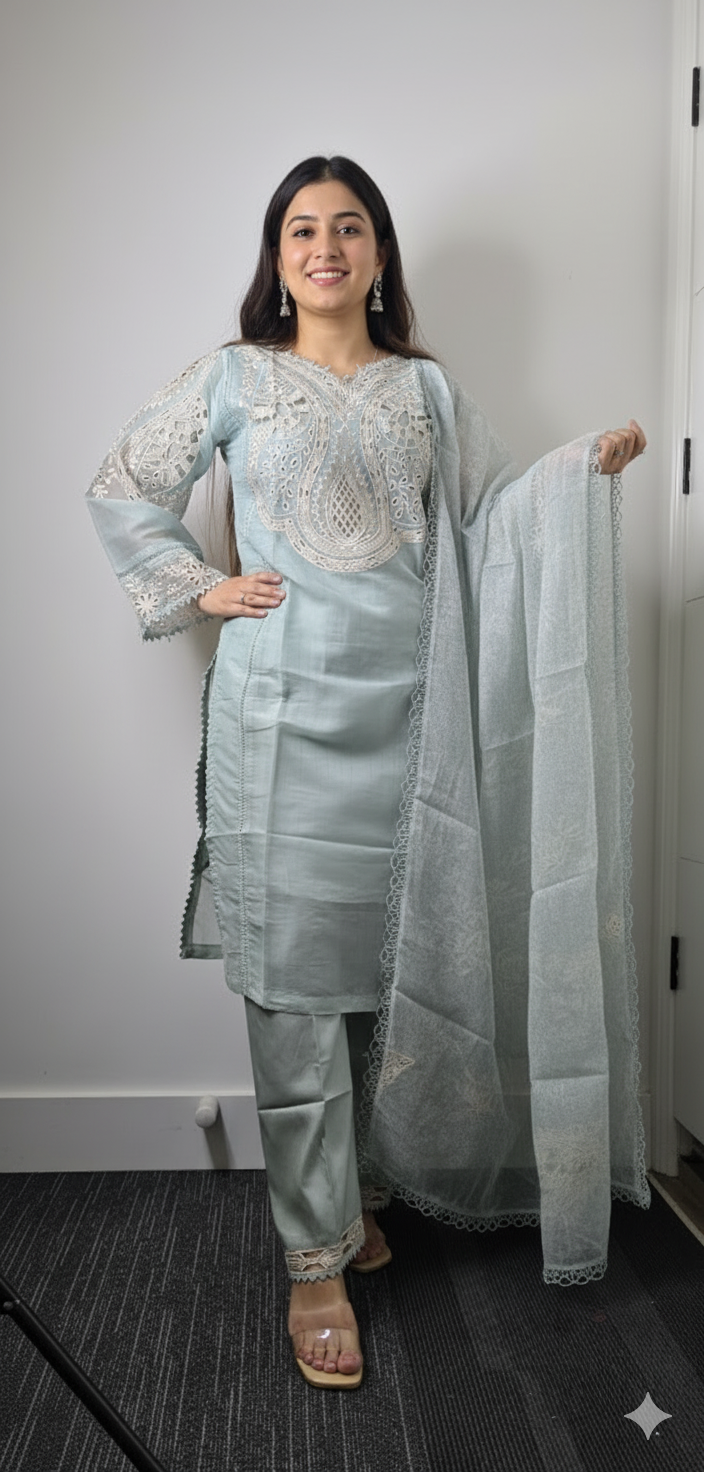 Ainaa (Tissue organza Pakistani style suit)