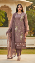 Tissue organza Pakistani Style suit