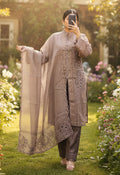 Brown Pakistani Style Suit