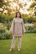 Pastel Kashmiri Jacket set