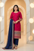 Vaani ( Chinon Fabric party wear suit)